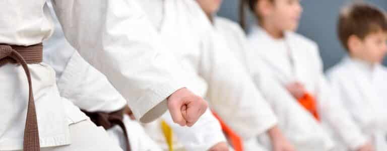 Read more about the article KARATE Anfängerkurse 2023
