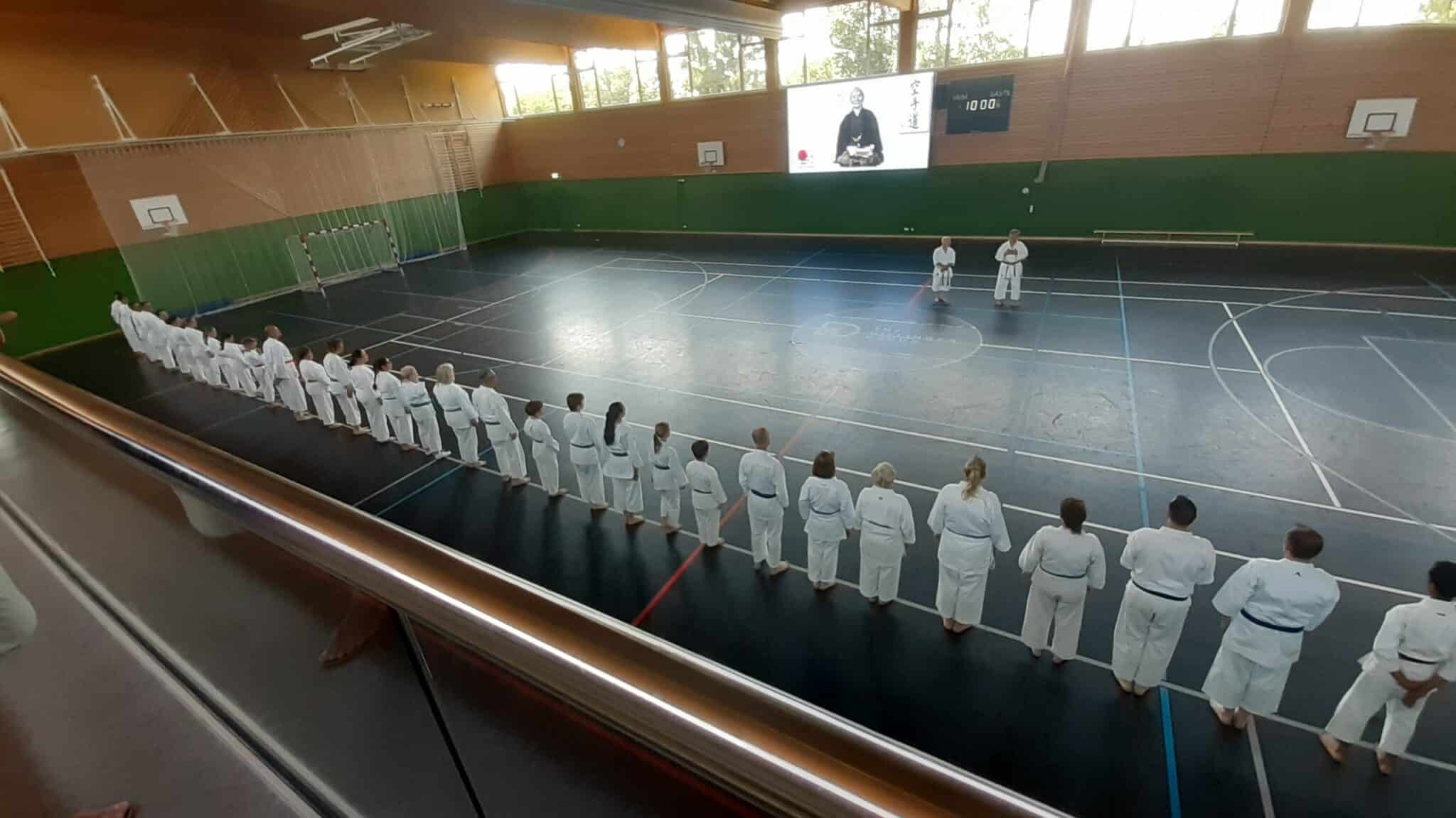 Du betrachtest gerade Lehrgang mit Sensei Fiore Tartaglia 7. DAN am Samstag, 20. Juni 2026