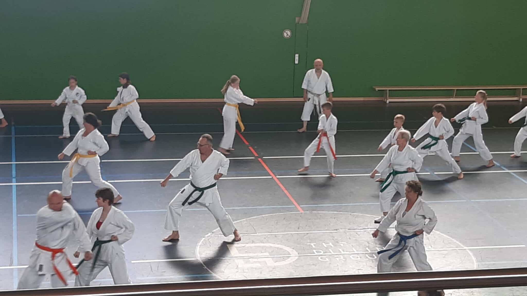 Du betrachtest gerade Karate Anfängerkurs für Erwachsene