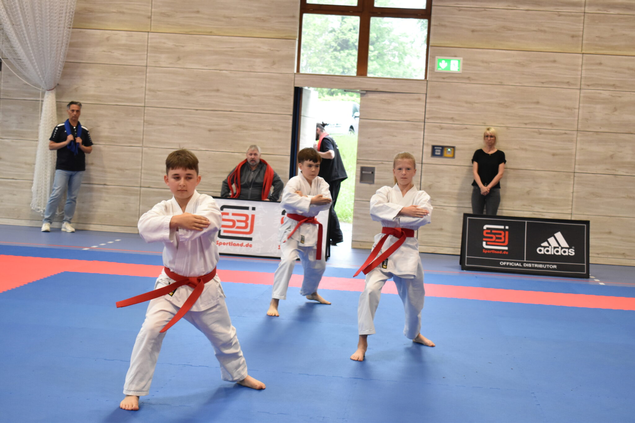 Du betrachtest gerade Karate Anfängerkurs für Kinder